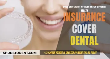 UNH Student Health Insurance: Dental Coverage Explained