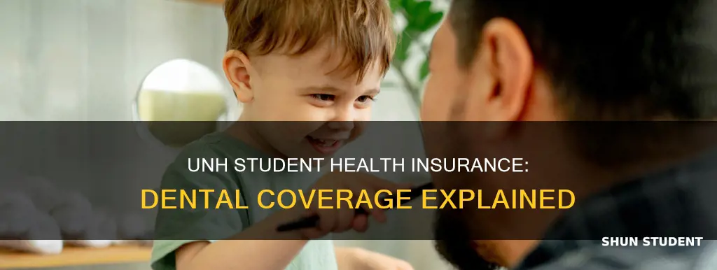 does university of new haven student health insurance cover dental