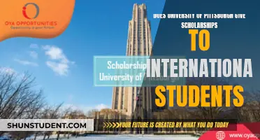 Pittsburgh Scholarships: International Students' Opportunities Explored