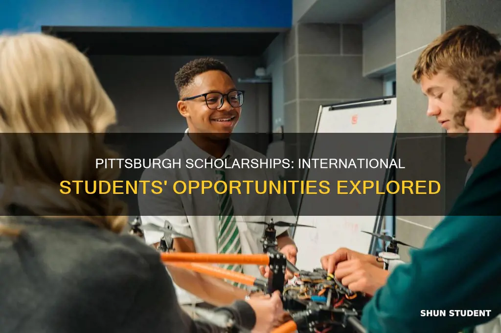 does university of pittsburgh give scholarships to international students