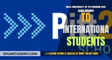 Pittsburgh Scholarships: International Students' Opportunities