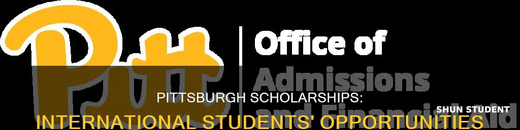 does university of pittsburgh give scholarships to international students