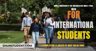 Does University of Rochester Support International Students' Needs?