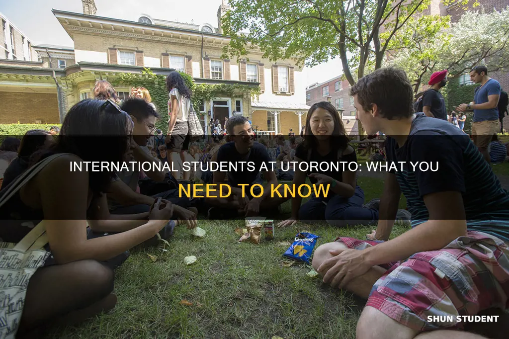 does university of toronto accept international students