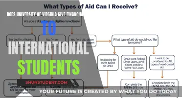 Financial Aid Options for International Students at UVA