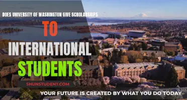 International Students: Scholarships at the University of Washington?