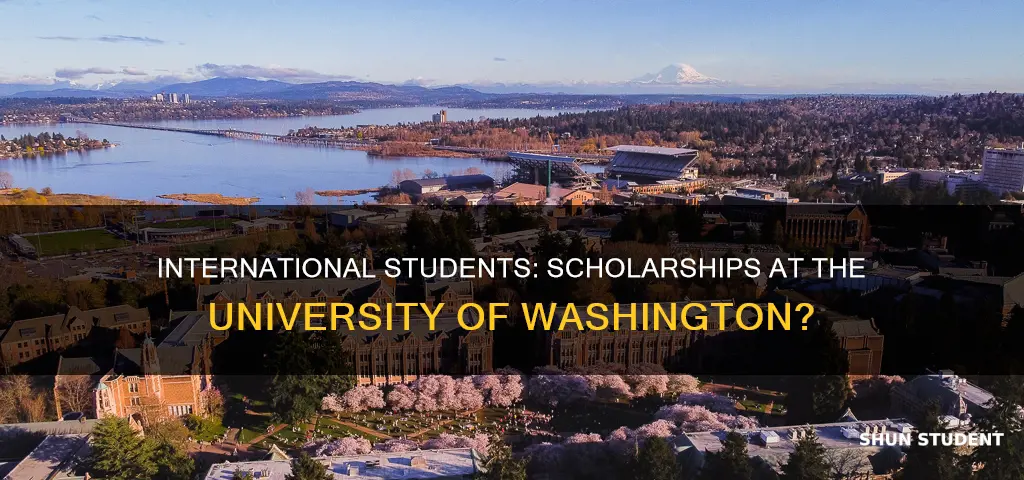 does university of washington give scholarships to international students