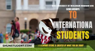 International Students: Scholarships at UW Madison?