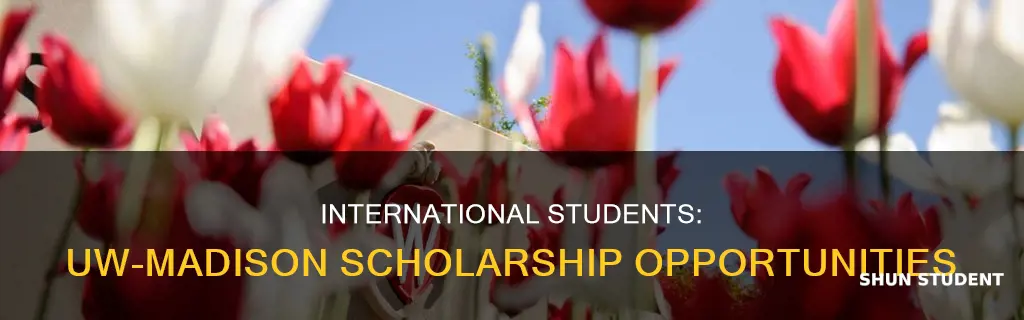 does university of wisconsin madison give scholarships to international students