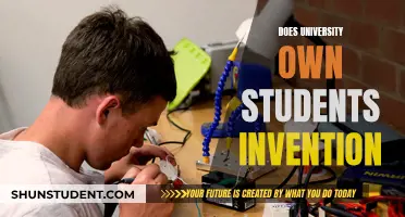 Who Owns Student Inventions? University IP Laws Explained