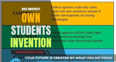 Who Owns Student Inventions? University IP Rights Explored
