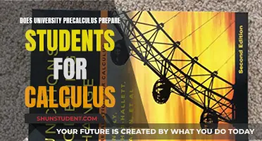 University Precalculus: Gateway to Calculus Success?