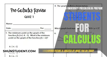 Precalculus: Gateway to Calculus Success?