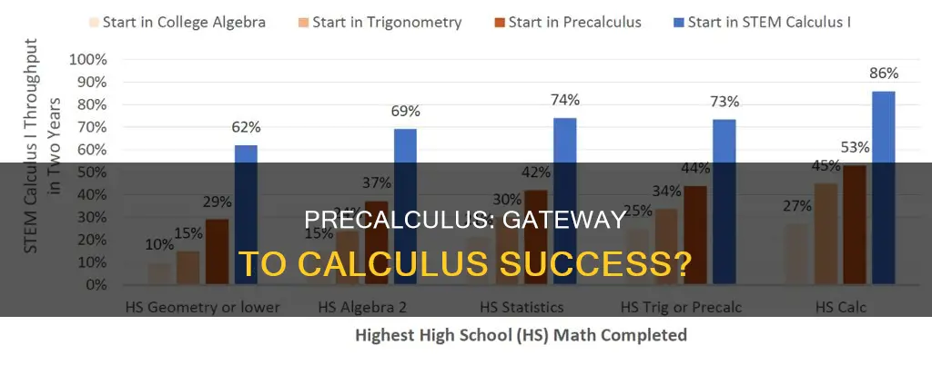 does university precalculus prepare students for calculus