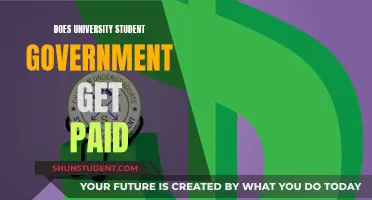 Are Student Government Members Paid?