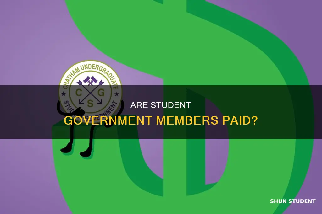 does university student government get paid