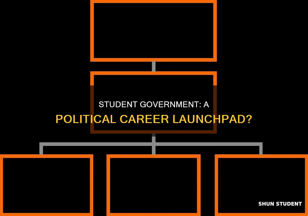 does university student government prepare you for politics