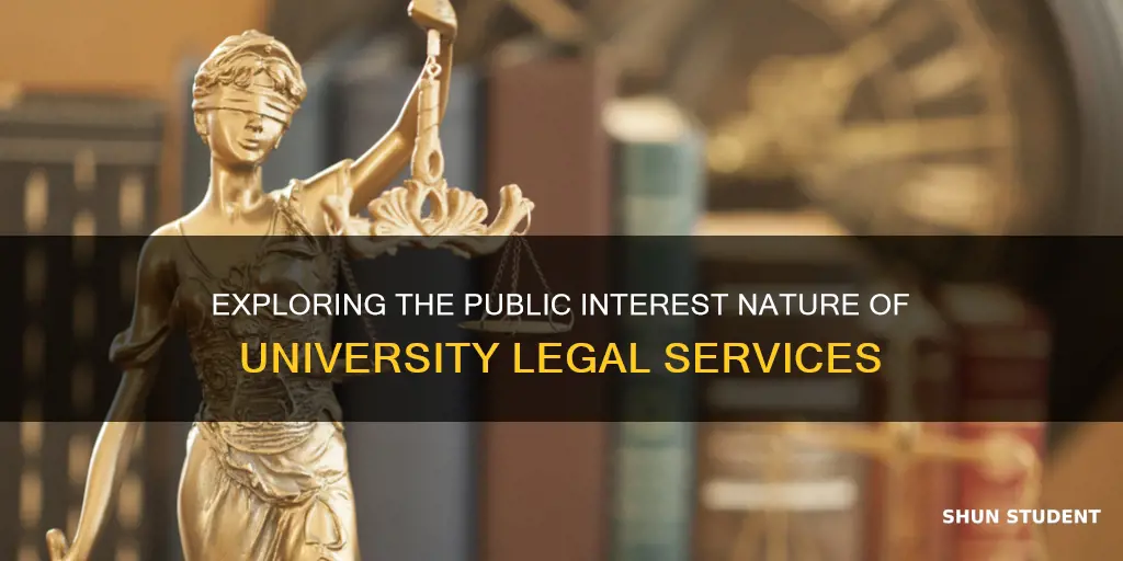 does university student legal services count as public interest