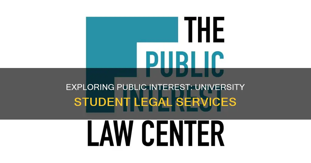 does university student legal services count as public interest