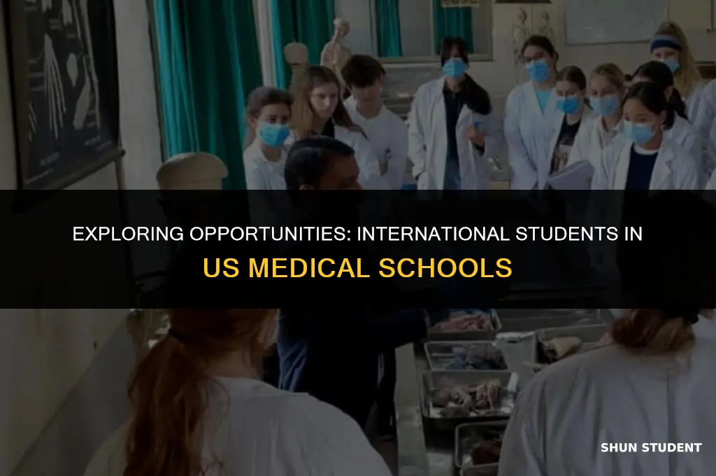 does us medical school accept international student for pre med