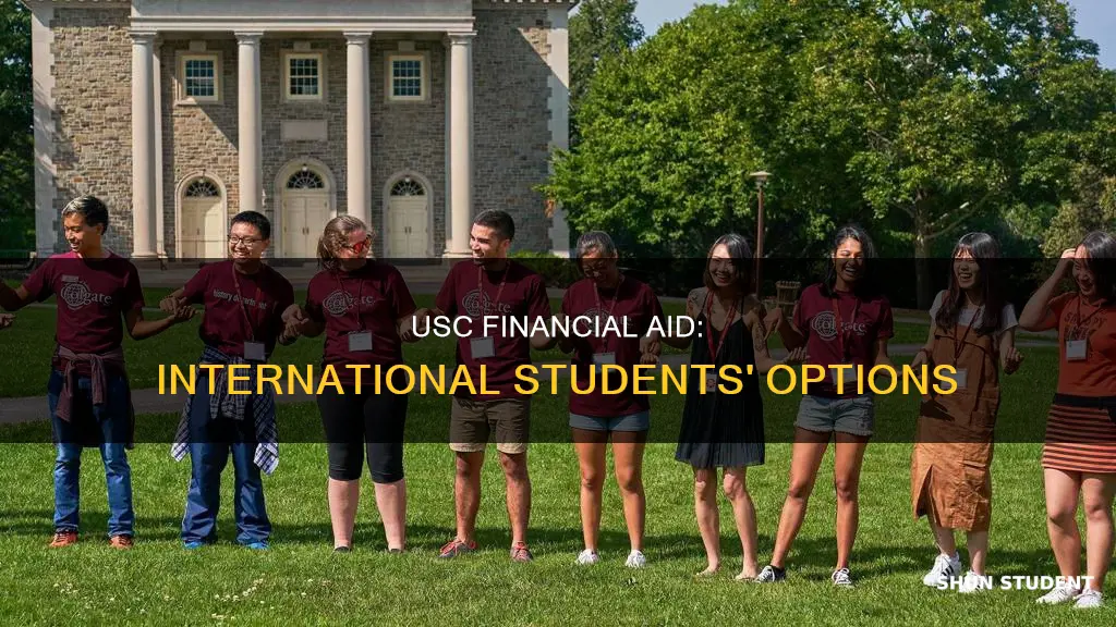 does usc give financial aid to international students