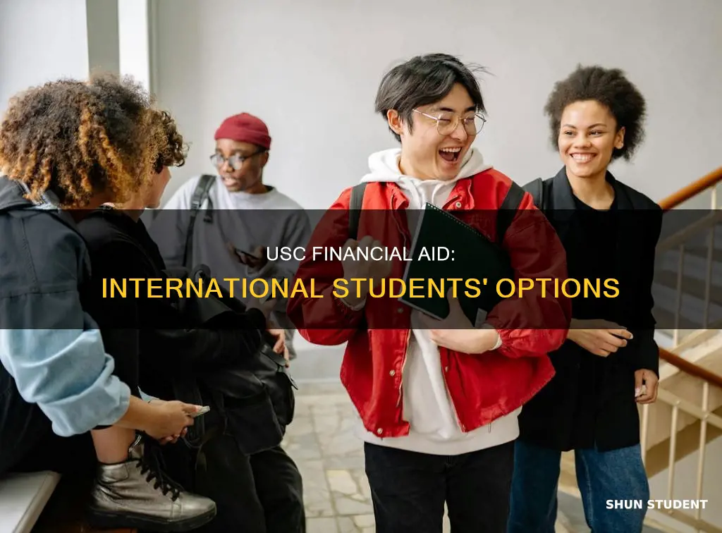 does usc provide financial aid for international students