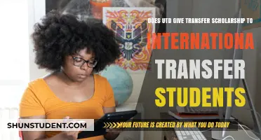 Transfer Scholarships for International Students at UTD
