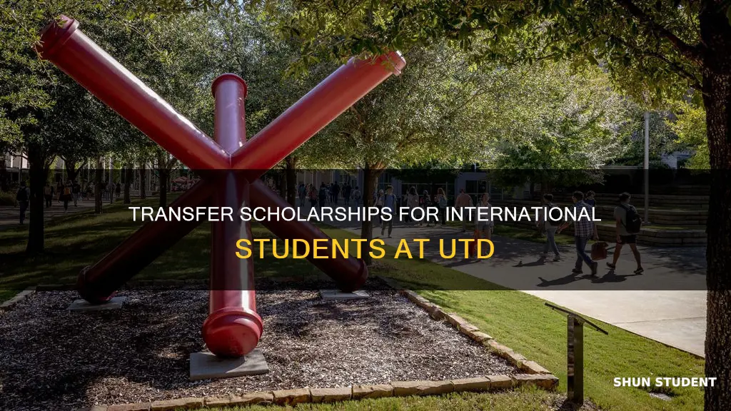 does utd give transfer scholarship to international transfer students