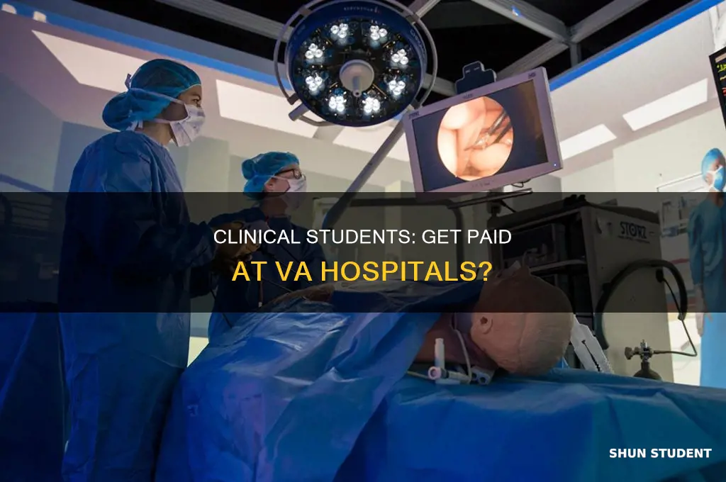 does va hospitals pay student clinical