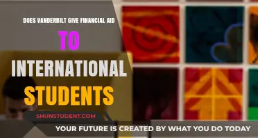 Vanderbilt Financial Aid: International Students' Options