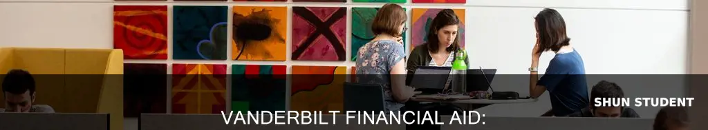 does vanderbilt give financial aid to international students