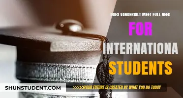 Vanderbilt's Financial Aid for International Students: Meeting Full Need?