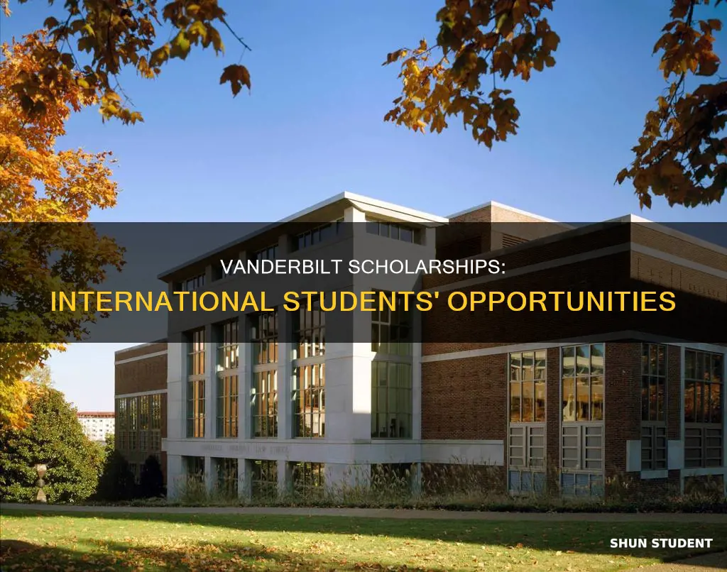 does vanderbilt offer scholarships to international students
