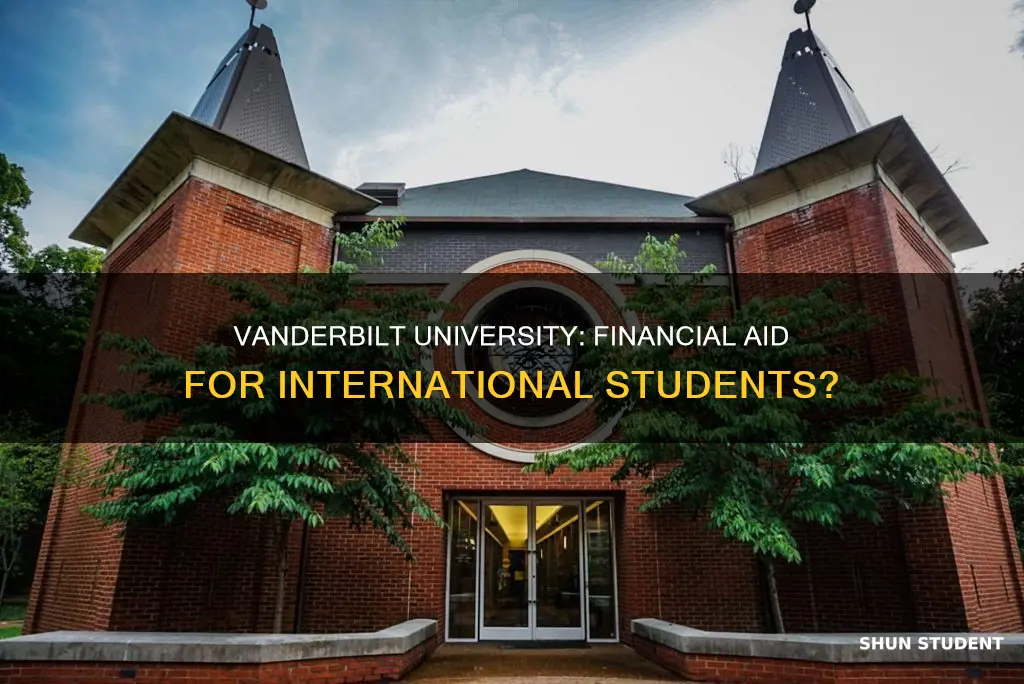 does vanderbilt university give financial aid to international students