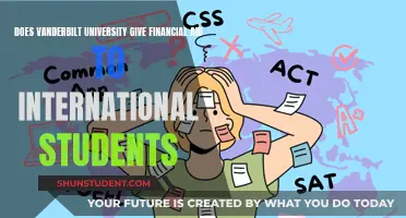 Vanderbilt Financial Aid: International Students' Options