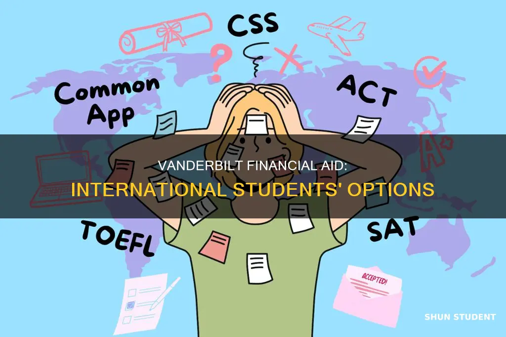 does vanderbilt university give financial aid to international students