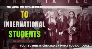 International Students: Virginia Tech Scholarship Opportunities