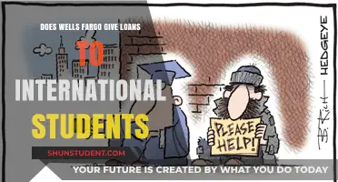 Wells Fargo Loans: Options for International Students?