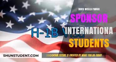 Wells Fargo: International Student Sponsorship Options