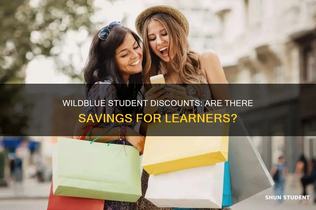 does wildblue offer discounts for students