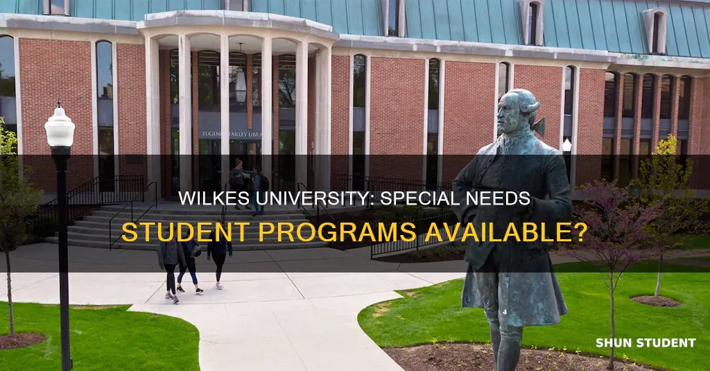 does wilkes university offer a program for special needs students