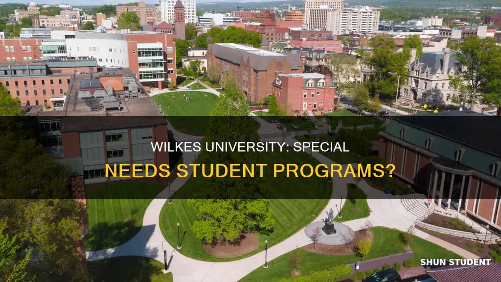 does wilkes university offer a program for special needs students