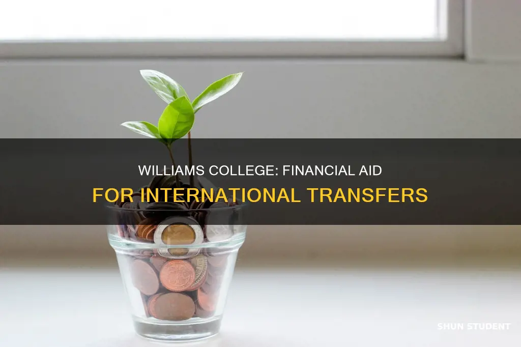 does williams college provide financial aid to international transfer students