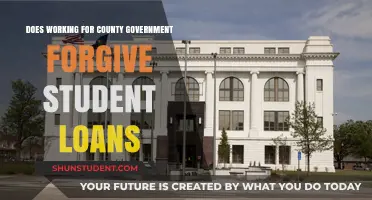 Can County Government Jobs Erase Your Student Loan Debt?