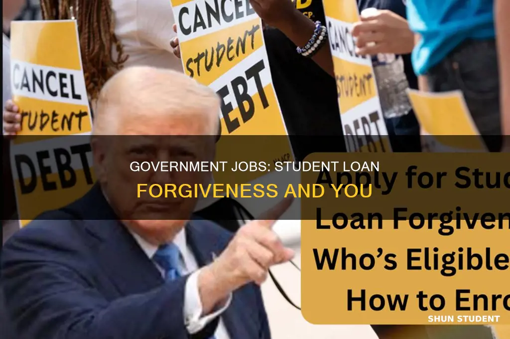 does working for the government pay student loans