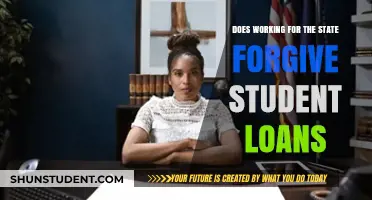 Can State Employment Erase Your Student Debt? Exploring Loan Forgiveness Options