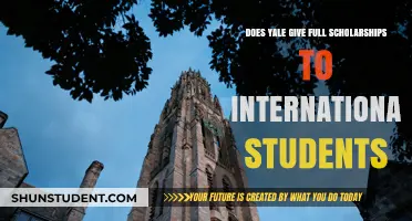 Full Scholarships at Yale: International Students' Chances