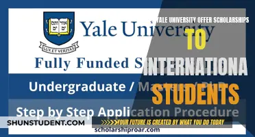 Yale Scholarships: International Students' Opportunities