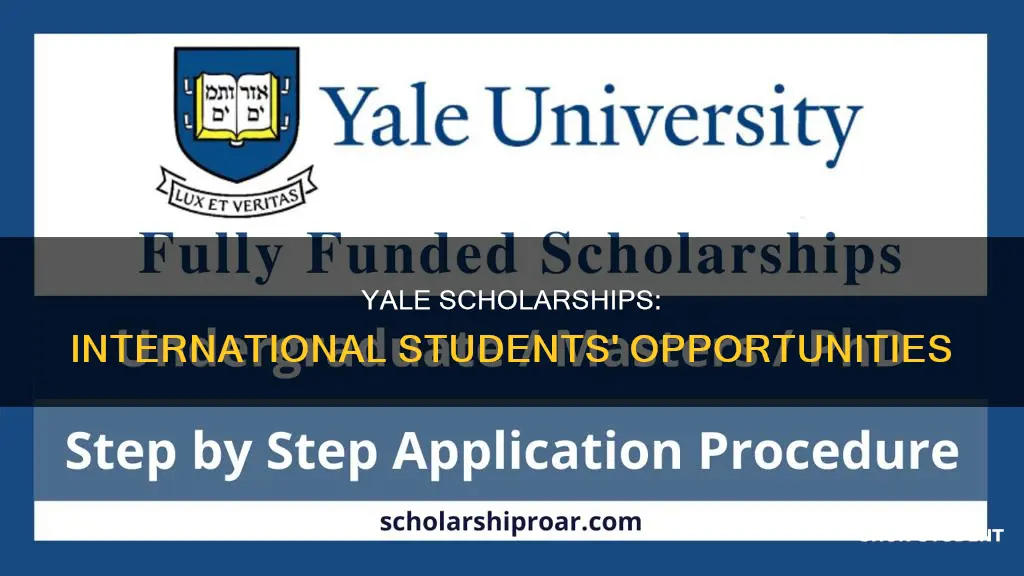 does yale university offer scholarships to international students