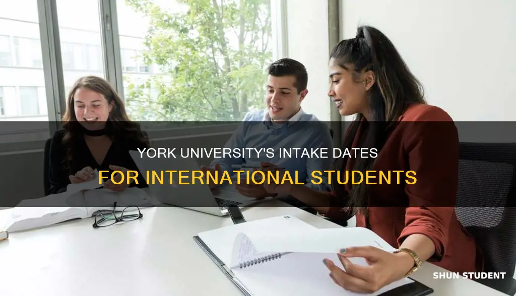 does york university enroll international students april or may intake